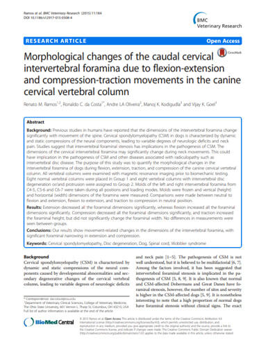 Morphological Changes of the Cervical Intervertebral Foramen due to Flexion-Extension and Compression-Tension Movements in the Canine Cervical Vertebral Column