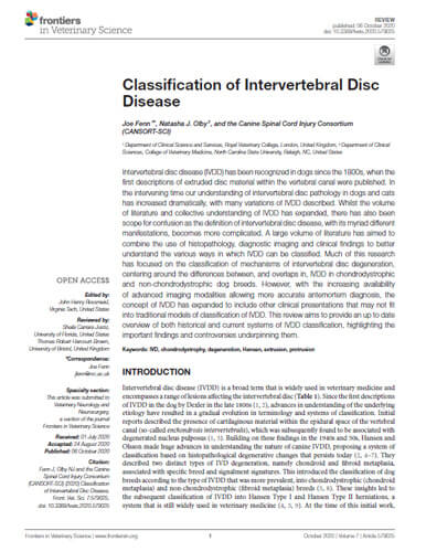 Classification of Intervertebral Disc Disease